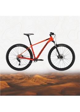 Location Vélo Cannondale...